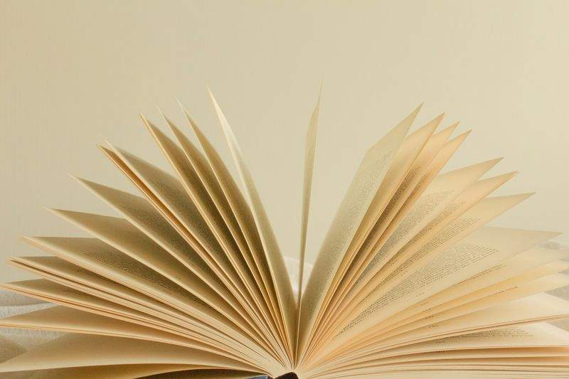 Top 10 Bestseller im Januar